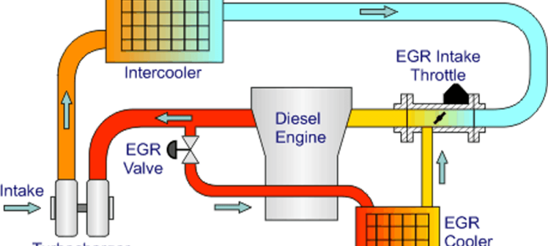 egr delete image